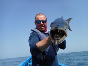 MS FISHING NEWS Barracuda